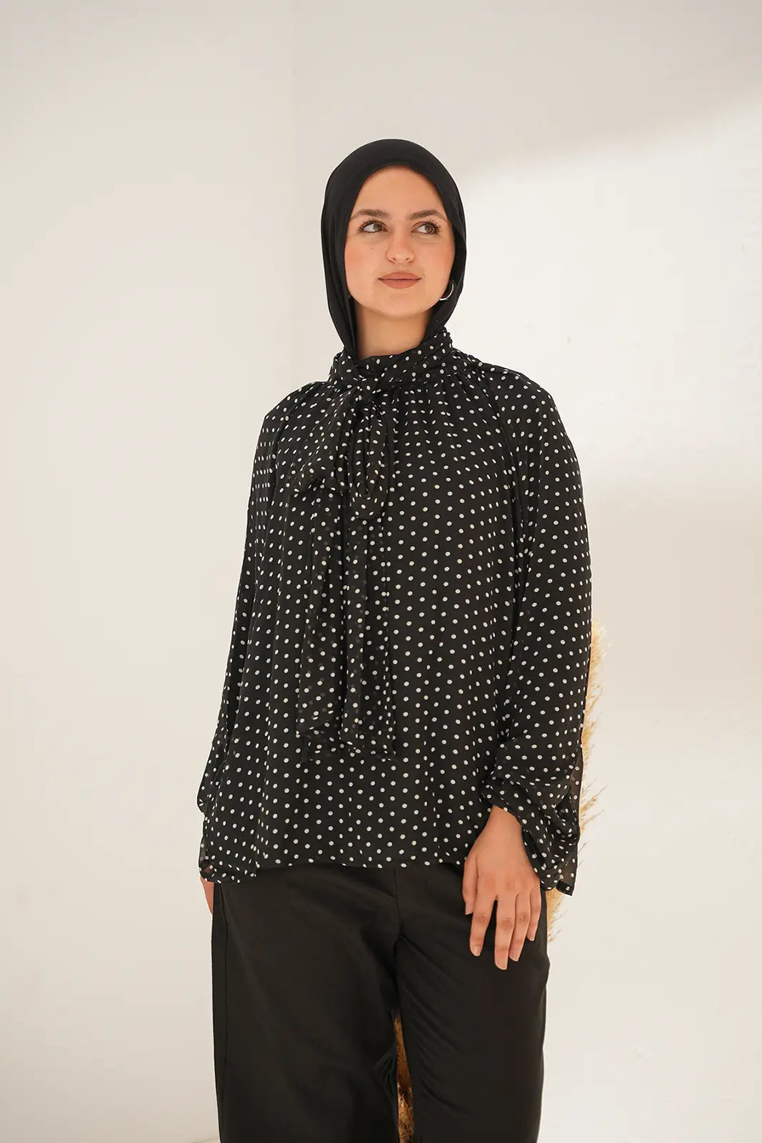 Elegant Polka Neck-Tie Blouse - Black